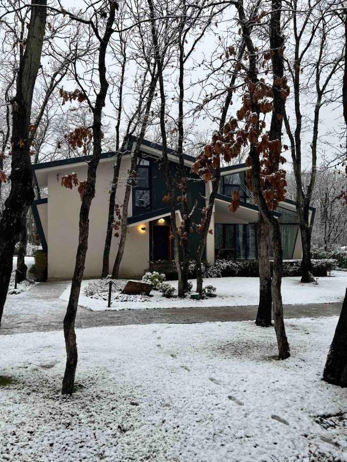 Utopia Forest بورغاس المظهر الخارجي الصورة